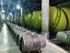 Wine Lovers' Tour: Kakheti, Kvareli & Kindzmarauli - Thumbnail 4