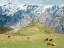Discover Kazbegi: A Perfect 3-Day Getaway - Thumbnail 8