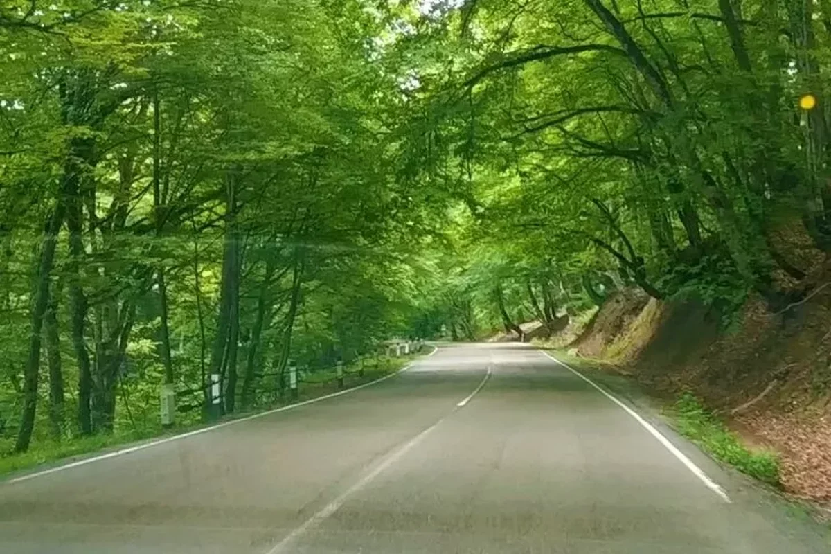 Kakheti Tour: 3 Days of Wine & Culture