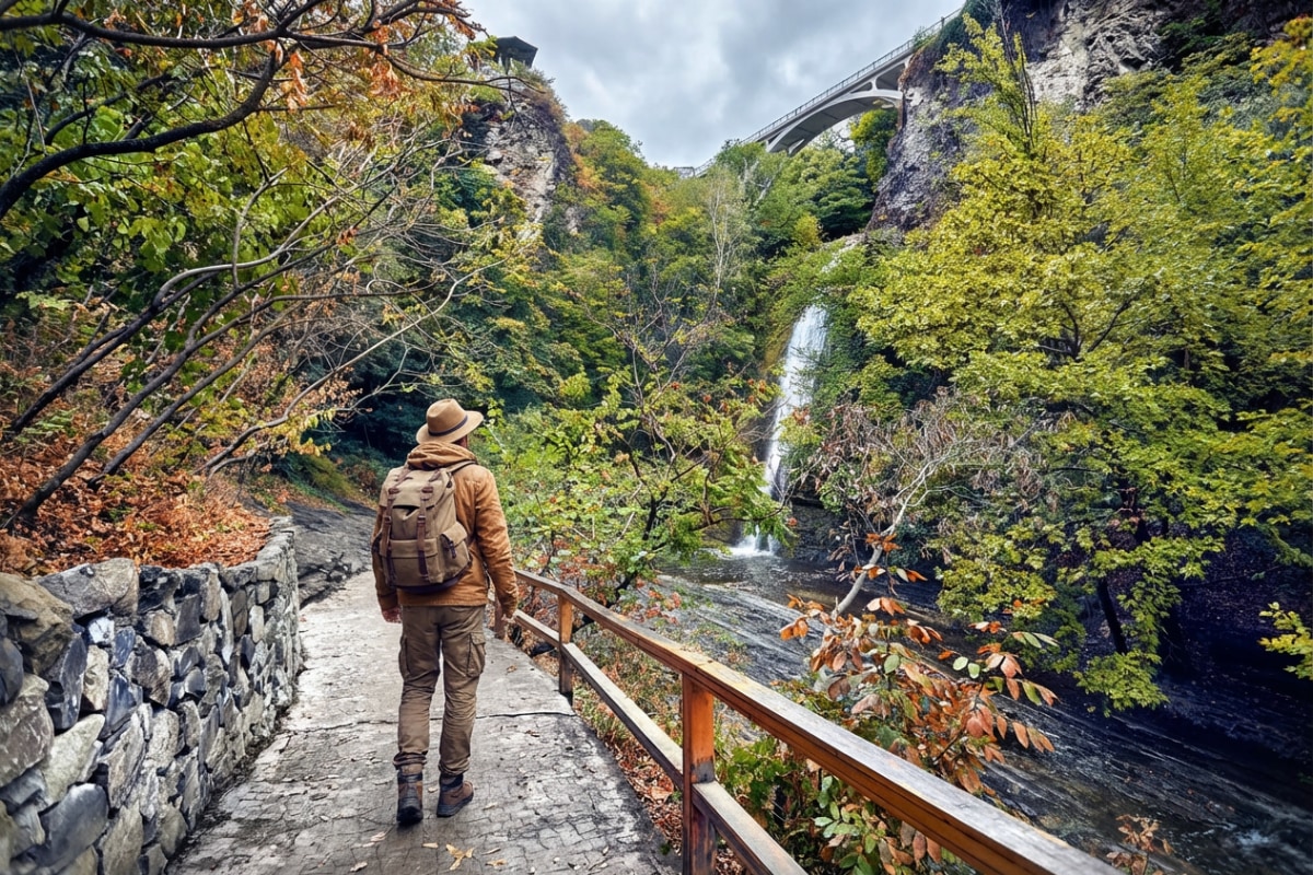 Tbilisi Botanical Garden